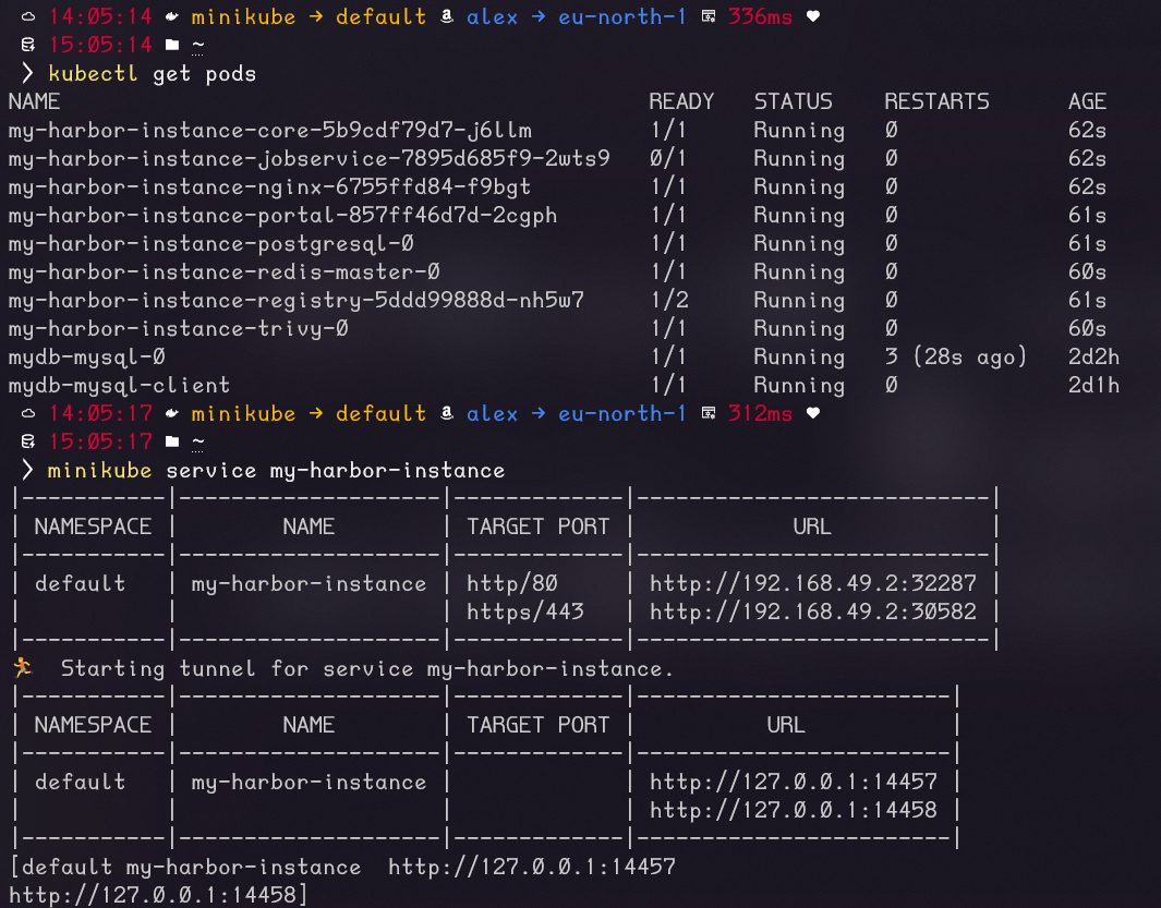 Kubernetes Resources and Exposing the Harbor Instance Outside the Cluster